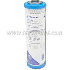 Pentair ChlorPlus 10 Carbon Block 10” x 2.5”