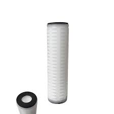 Pentair 0.2 Micron 10 Inch Pleated Polypropylene DOE Filter Cartridge